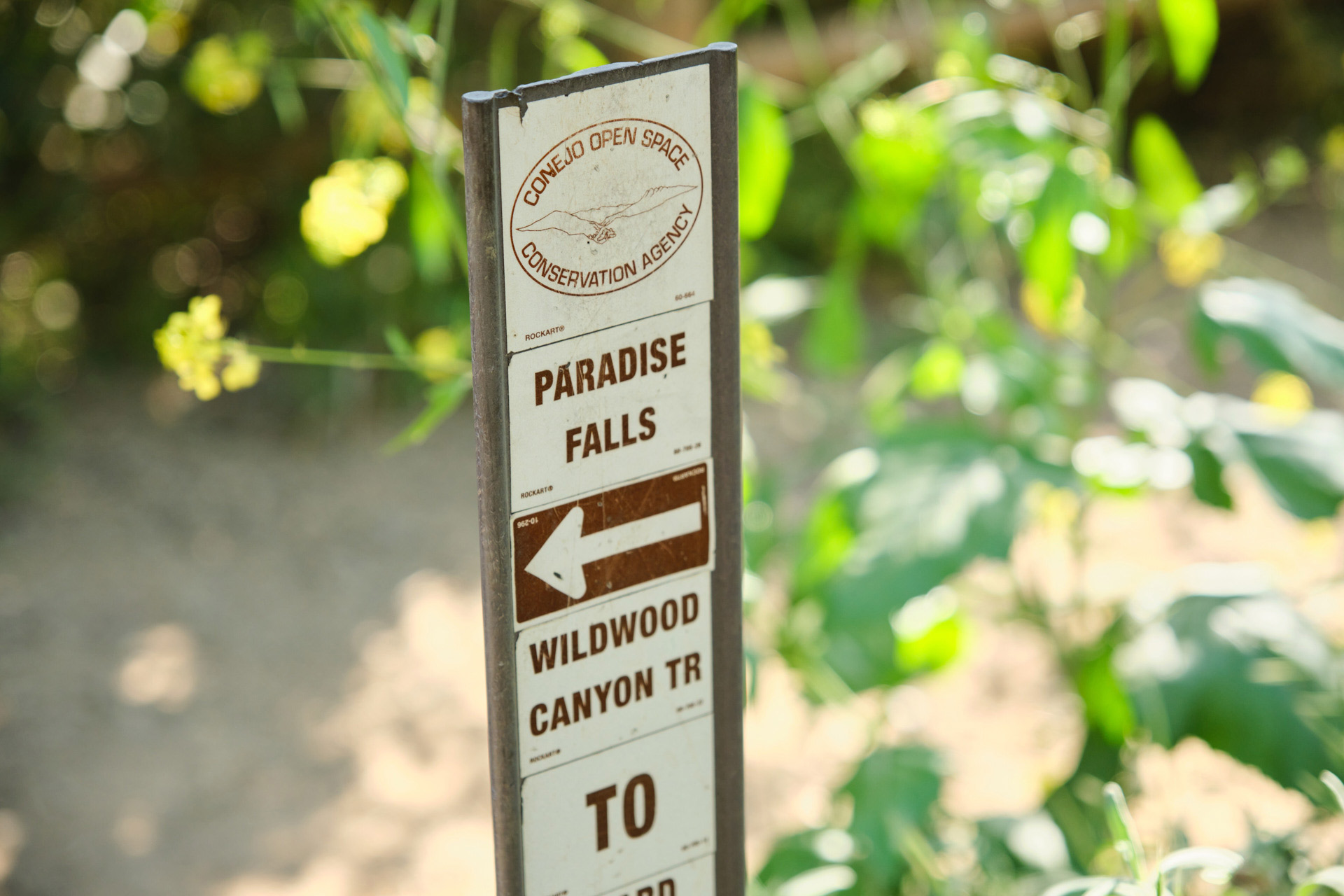 go-with-the-flow-1-paradise-falls-2