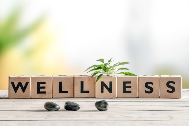 Wellness Services Resource Guide