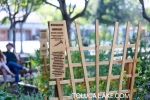 school-garden-upgrade-helps-plants-and-young-minds-grow-3