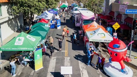 Joining Forces for Health and Wellness